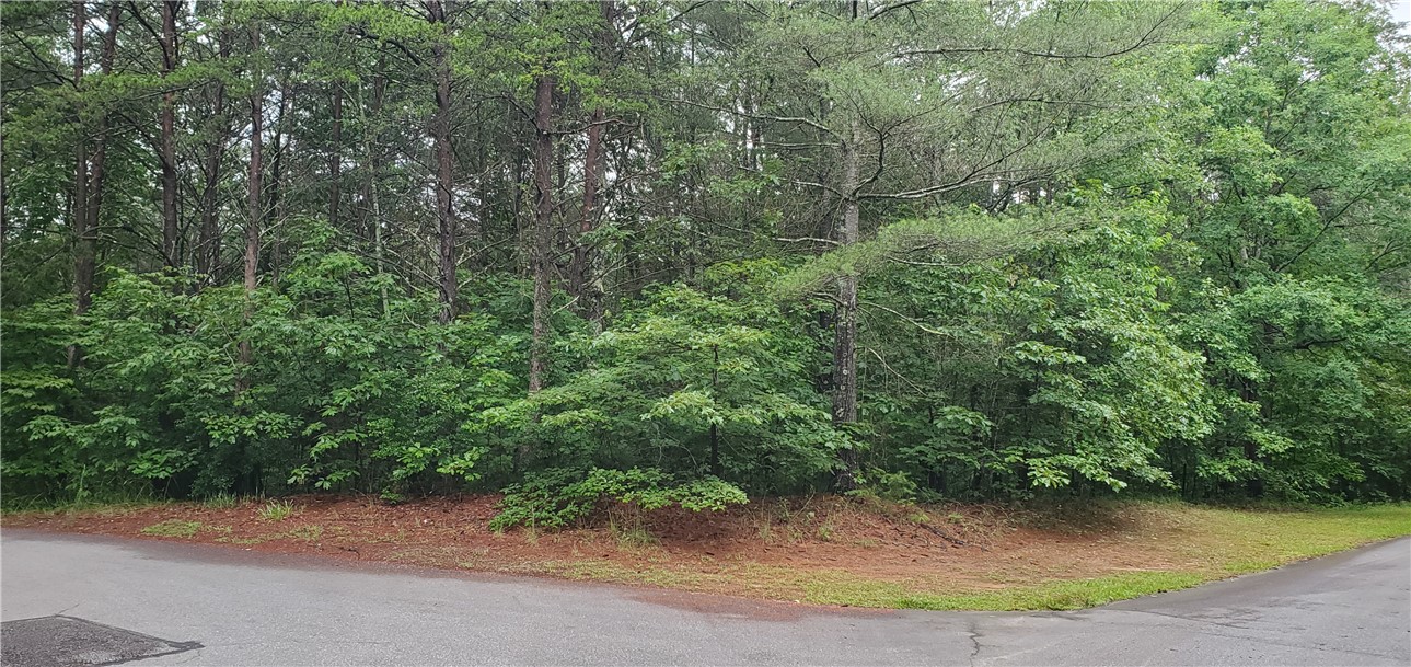 Corner Lot