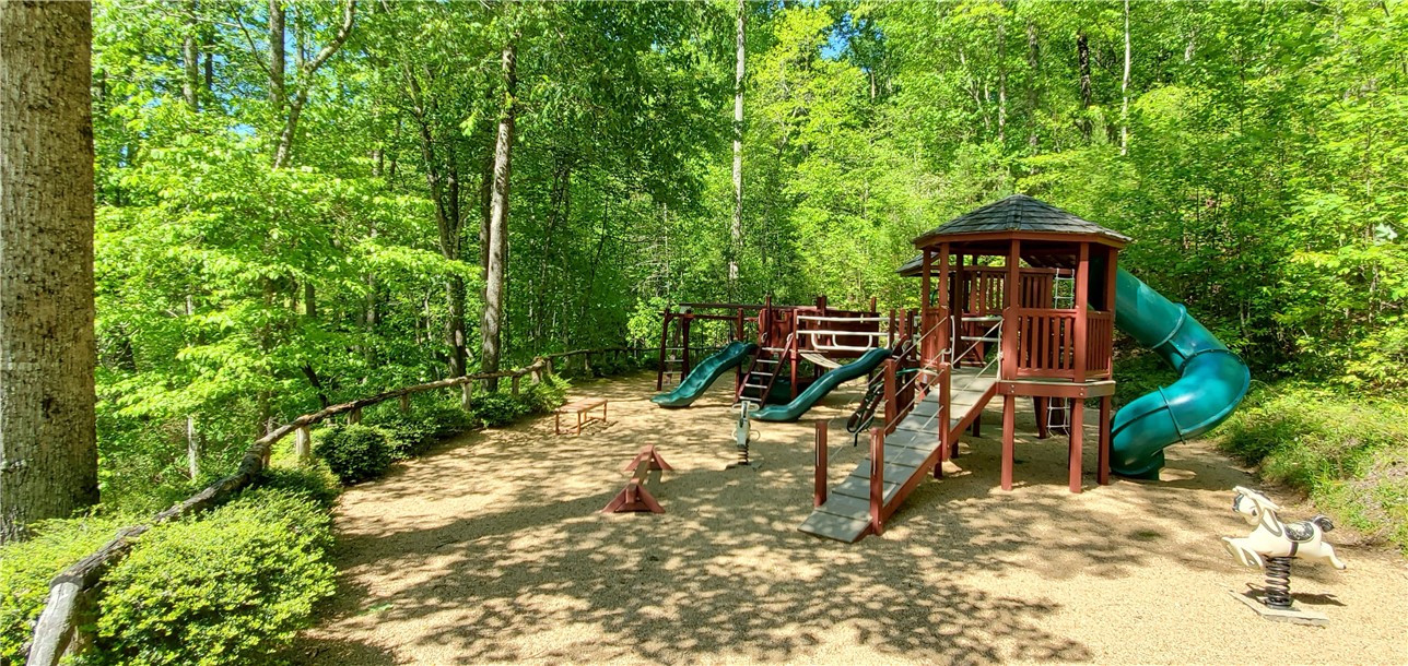 Lot Vp Starglass Way Sunset, SC 29685 - Photo 17 of 17 Playground sponsored by residents