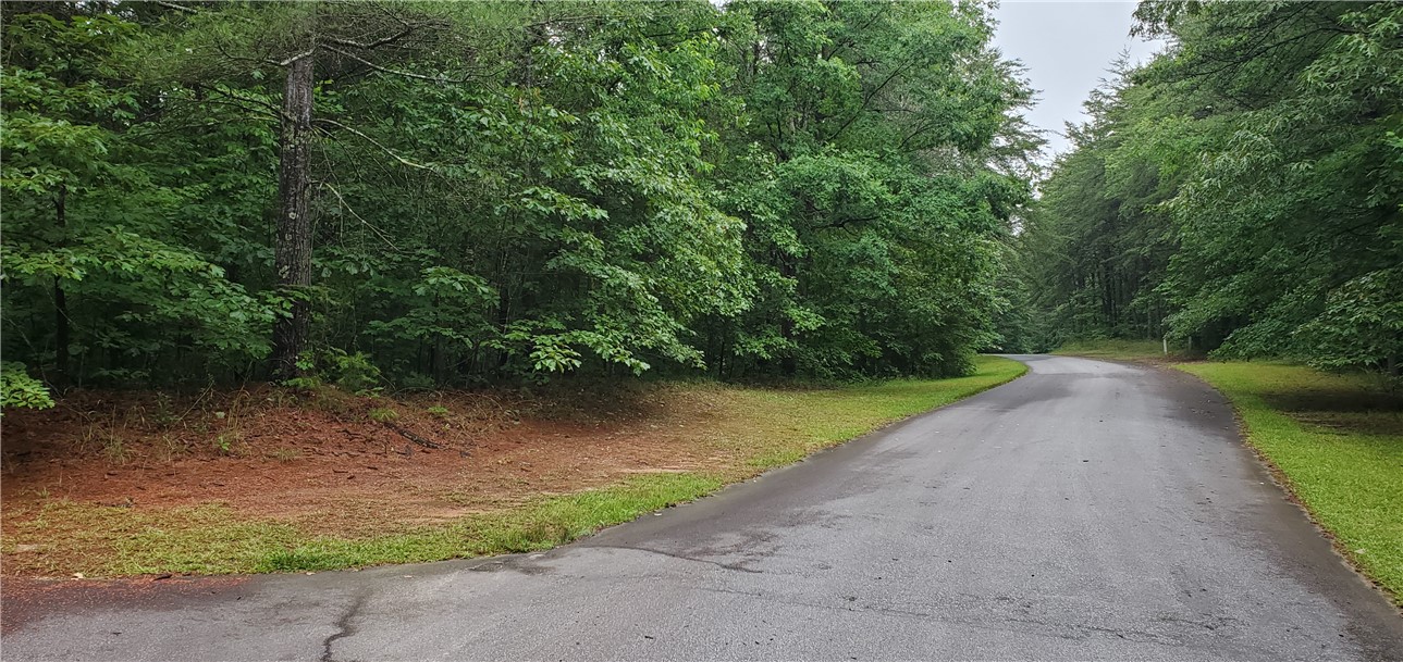 Vineyard Park is a loop - GREAT WALK!