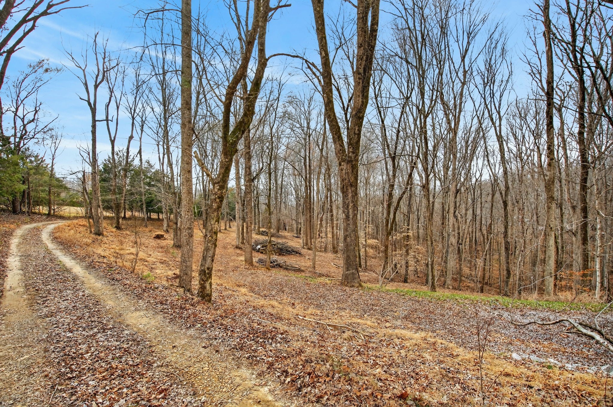 6169 Huffman Road Goodlettsville, TN 37072 - Photo 23 of 28 Gallery Image 23