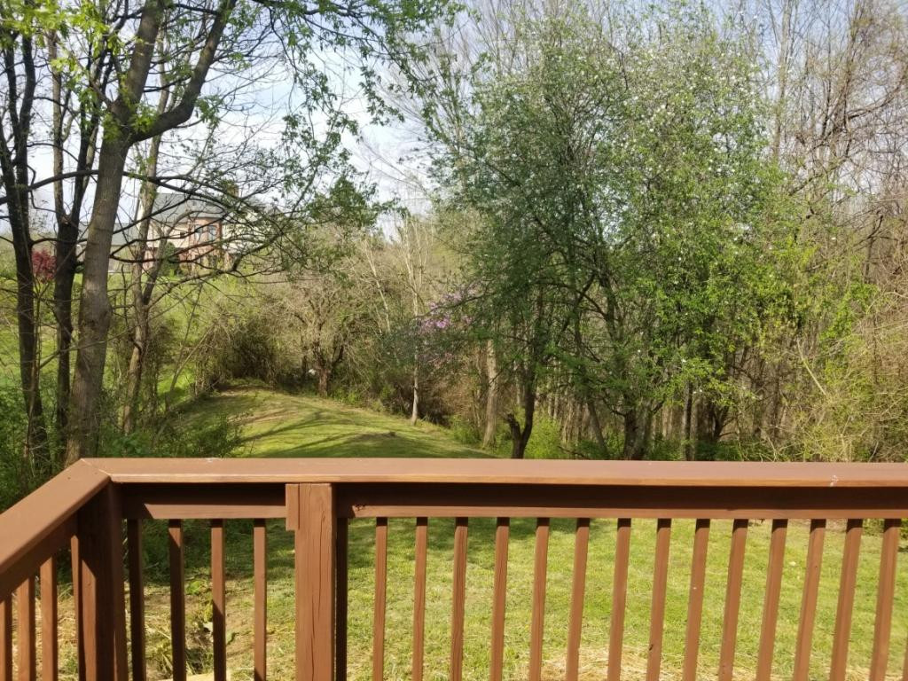 232 Lynn Road Johnson City, TN 37604 - Photo 27 of 27 Photo 27