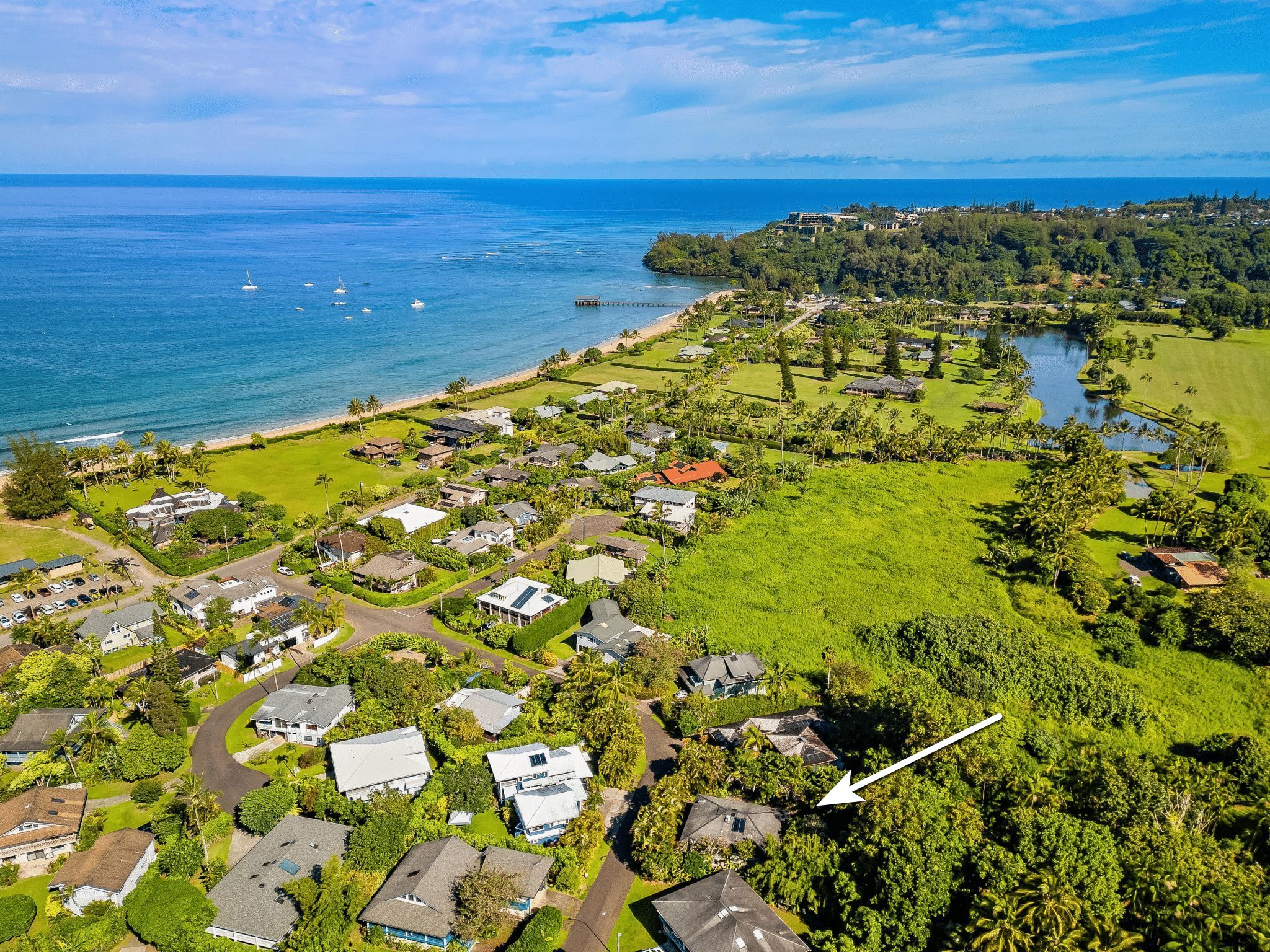 4485 Pilikoa Street Hanalei, HI 96714 - Photo 1 of 30 a view of an ocean