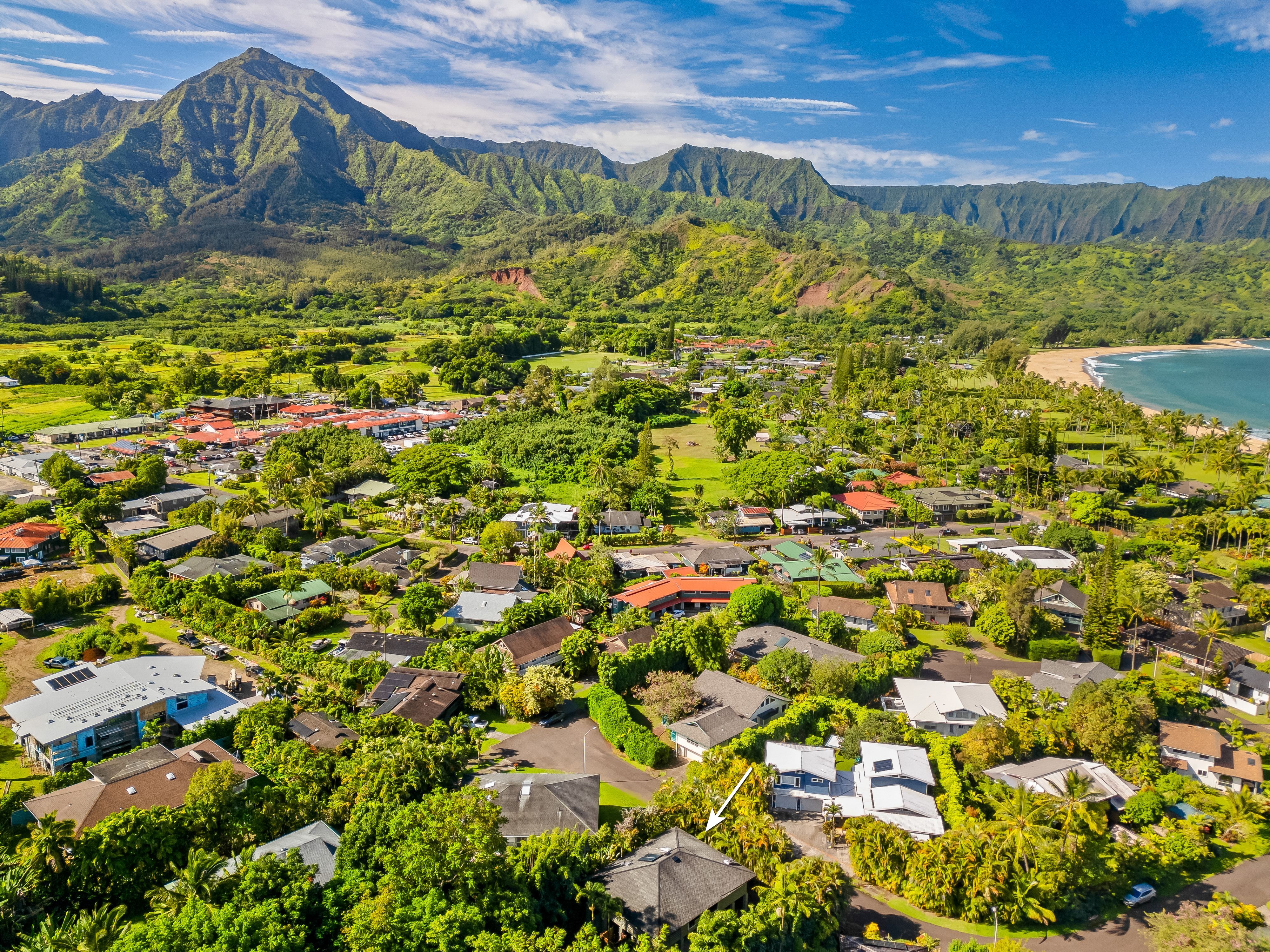 4485 Pilikoa Street Hanalei, HI 96714 - Photo 29 of 30 a view of a lake