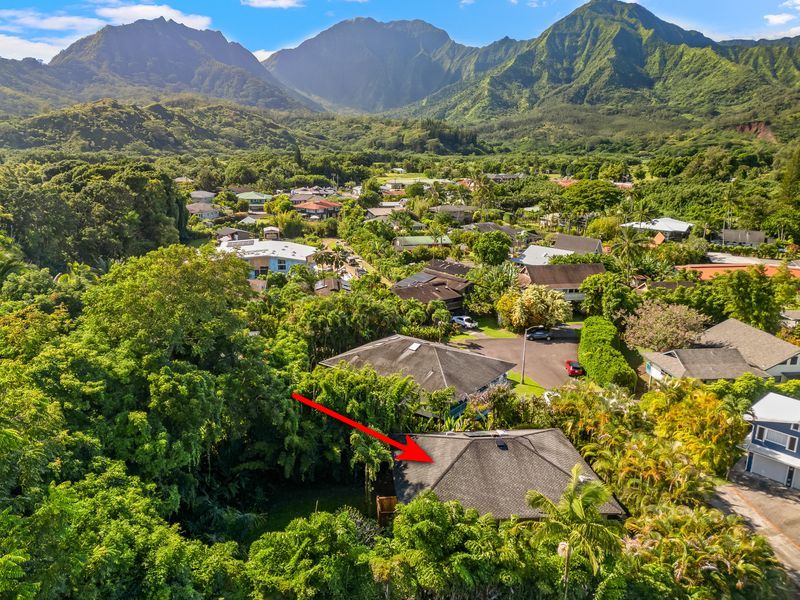 4485 Pilikoa Street Hanalei, HI 96714 - Photo 5 of 30 an aerial view of residential houses and outdoor space