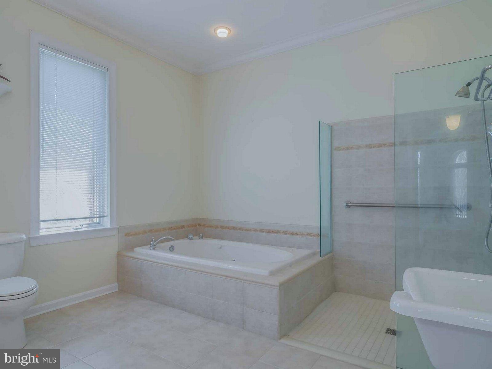 5825 Bayside Road St. Leonard, MD 20685 - Photo 17 of 30 has Whirlpool Tub, Walk-Shower, Shampoo Sink