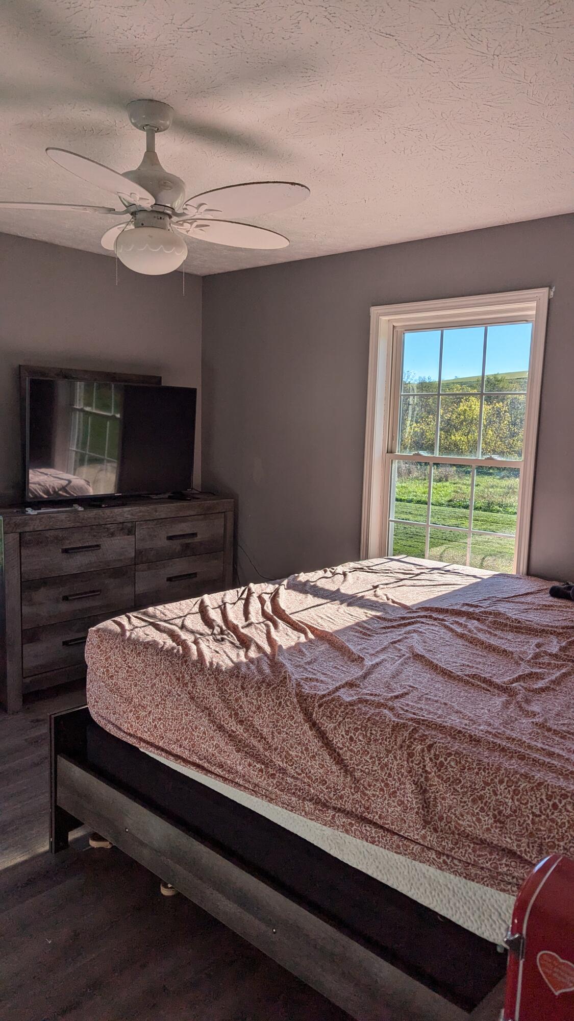 3453 East Union Road Carlisle, KY 40311 - Photo 69 of 70 PXL_20241017_203512483