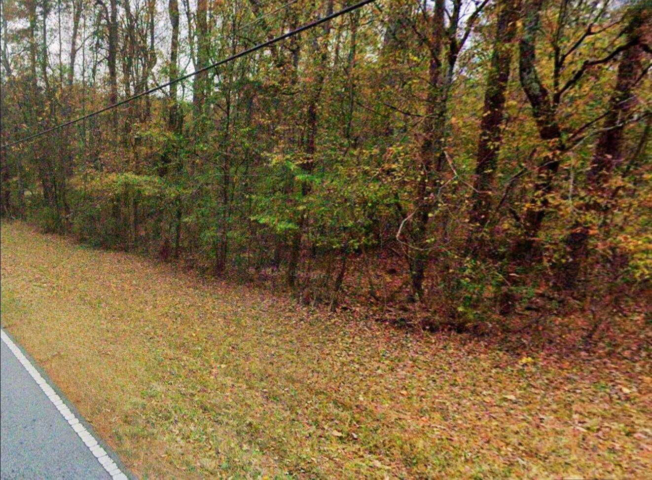 0 Bethsaida Road Riverdale, GA 30296 - Photo 7 of 8 bethsaida rd lot pic 2