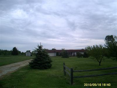 Primary Photo