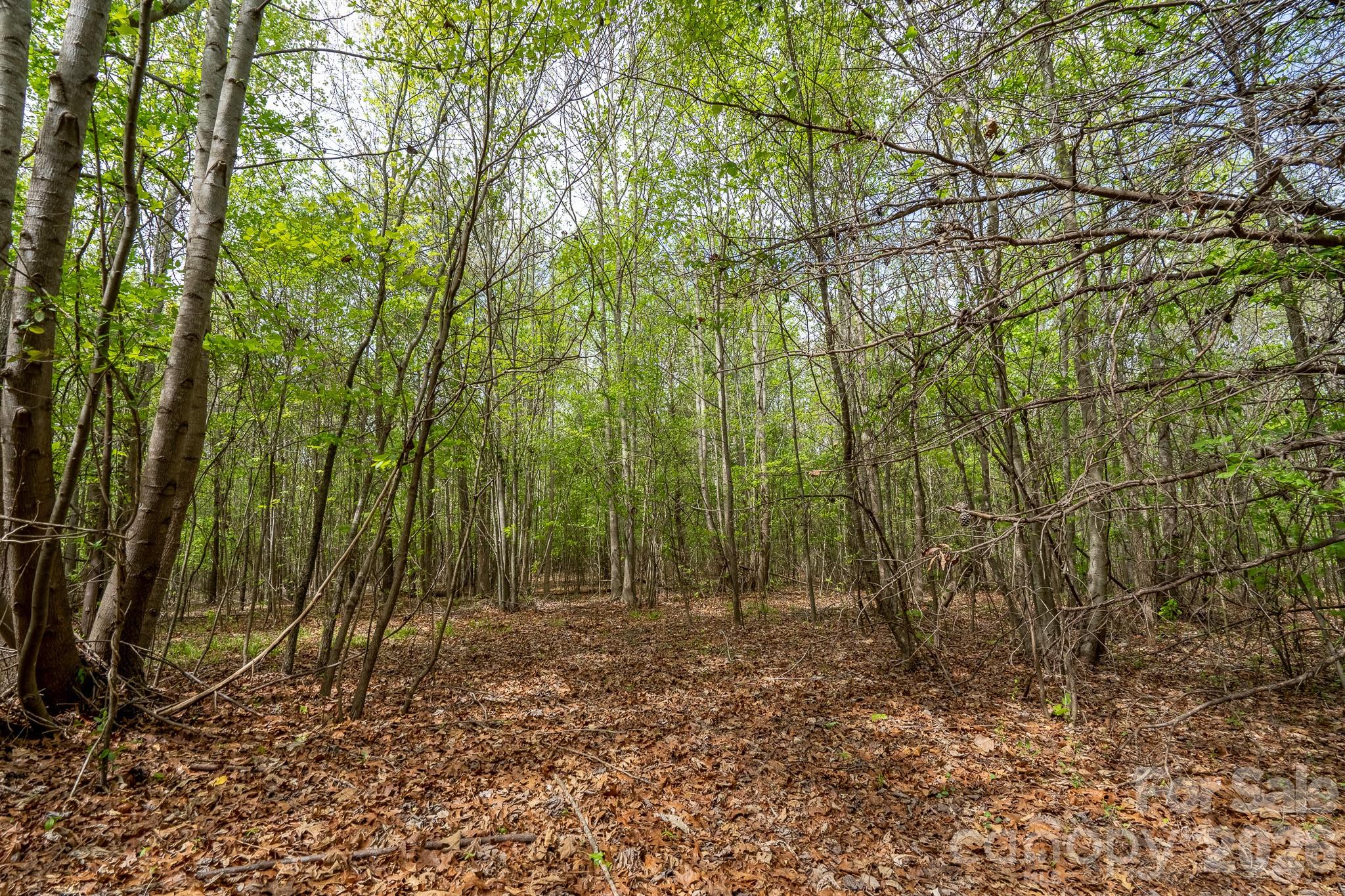 0 Blackwelder Road, Unit 2 Salisbury, NC 28146 - Photo 2 of 13
