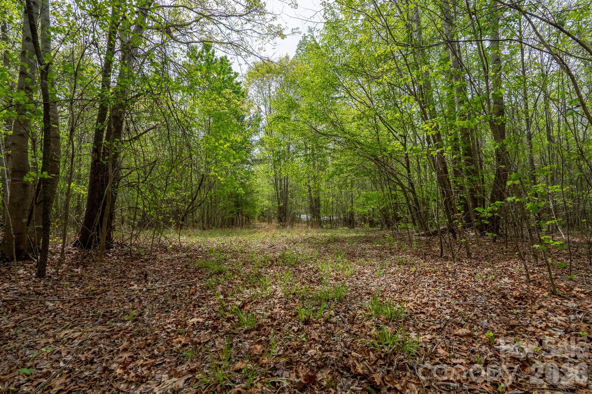 0 Blackwelder Road, Unit 2 Salisbury, NC 28146 - Photo 4 of 13