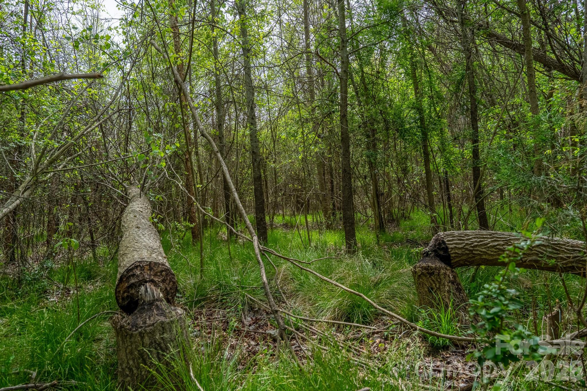0 Blackwelder Road, Unit 2 Salisbury, NC 28146 - Photo 7 of 13