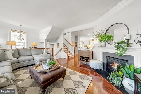 a living room with furniture potted plant and a window