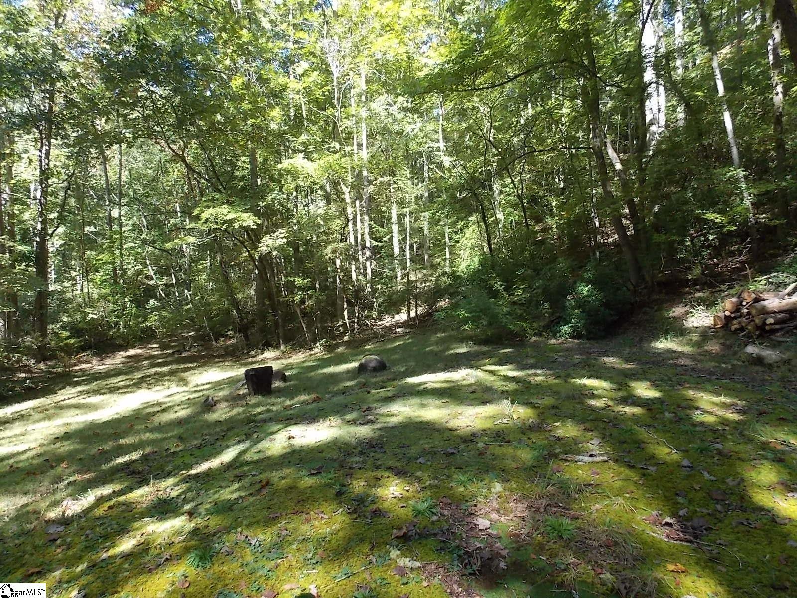 512 Doe Run Pickens, SC 29671 - Photo 44 of 49 Gallery Image 44