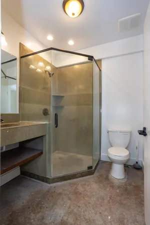 a bathroom with a shower and a toilet