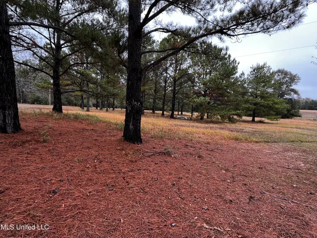 $279,900 | 2221 Brushy Creek Road, Lucedale, MS 39452