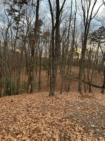 a backyard of a house with large trees