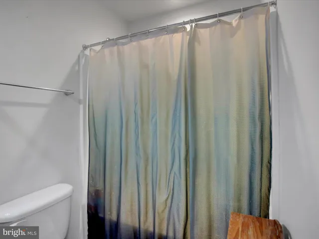 a bathroom with a shower and a toilet