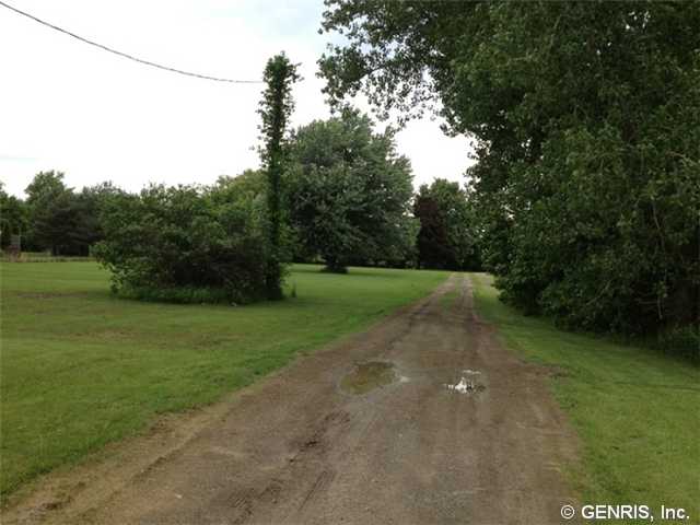 10901 Maple Ridge Road Shelby, NY 14103 - Photo 1 of 1 Land/Lot