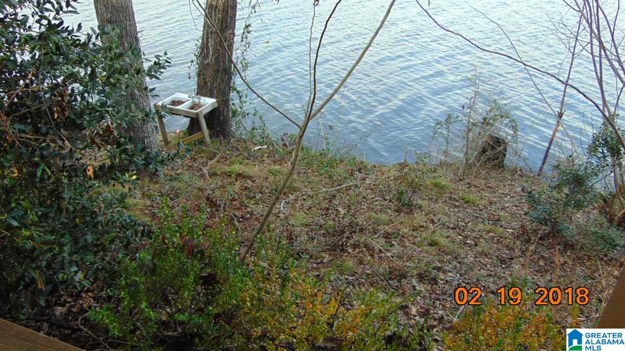 1403 Gold Mine Branch Road Marbury, AL 36051 - Photo 14 of 21