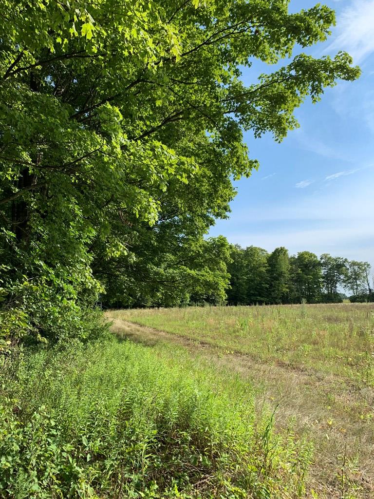 Tbd Lost Lake Road Egg Harbor, WI 54209 - Photo 10 of 29
