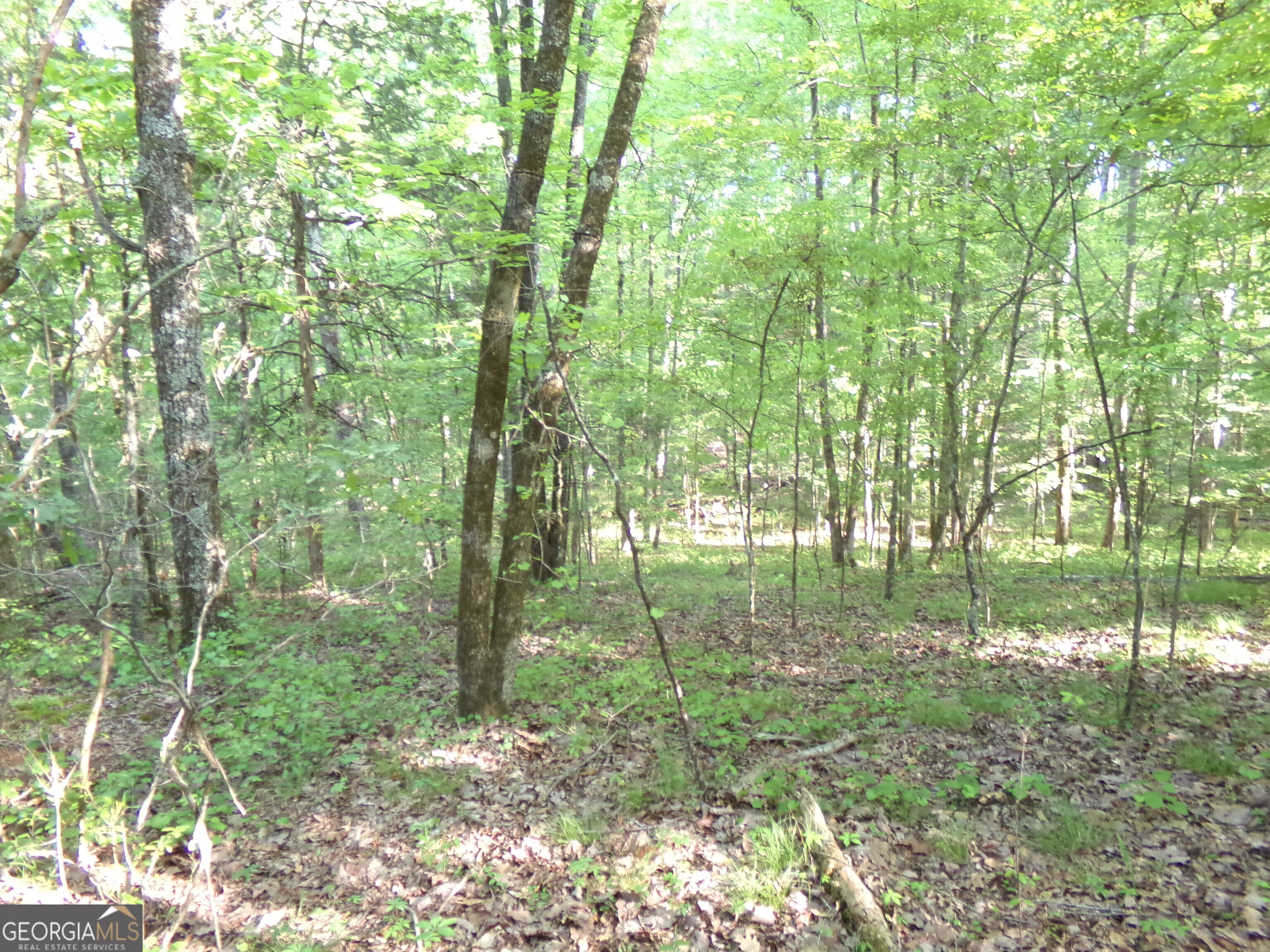 3905 Highway 138 Covington, GA 30014 - Photo 22 of 40