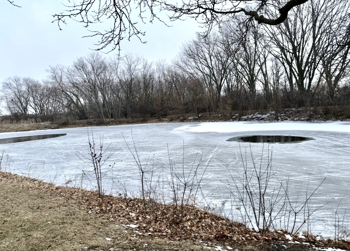 2424 Oneida Lane Naperville, IL 60563 - Photo 28 of 29