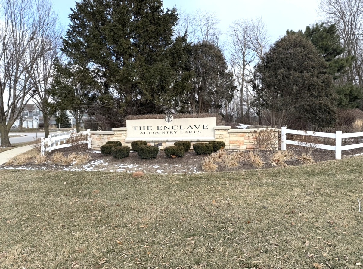 2424 Oneida Lane Naperville, IL 60563 - Photo 29 of 29