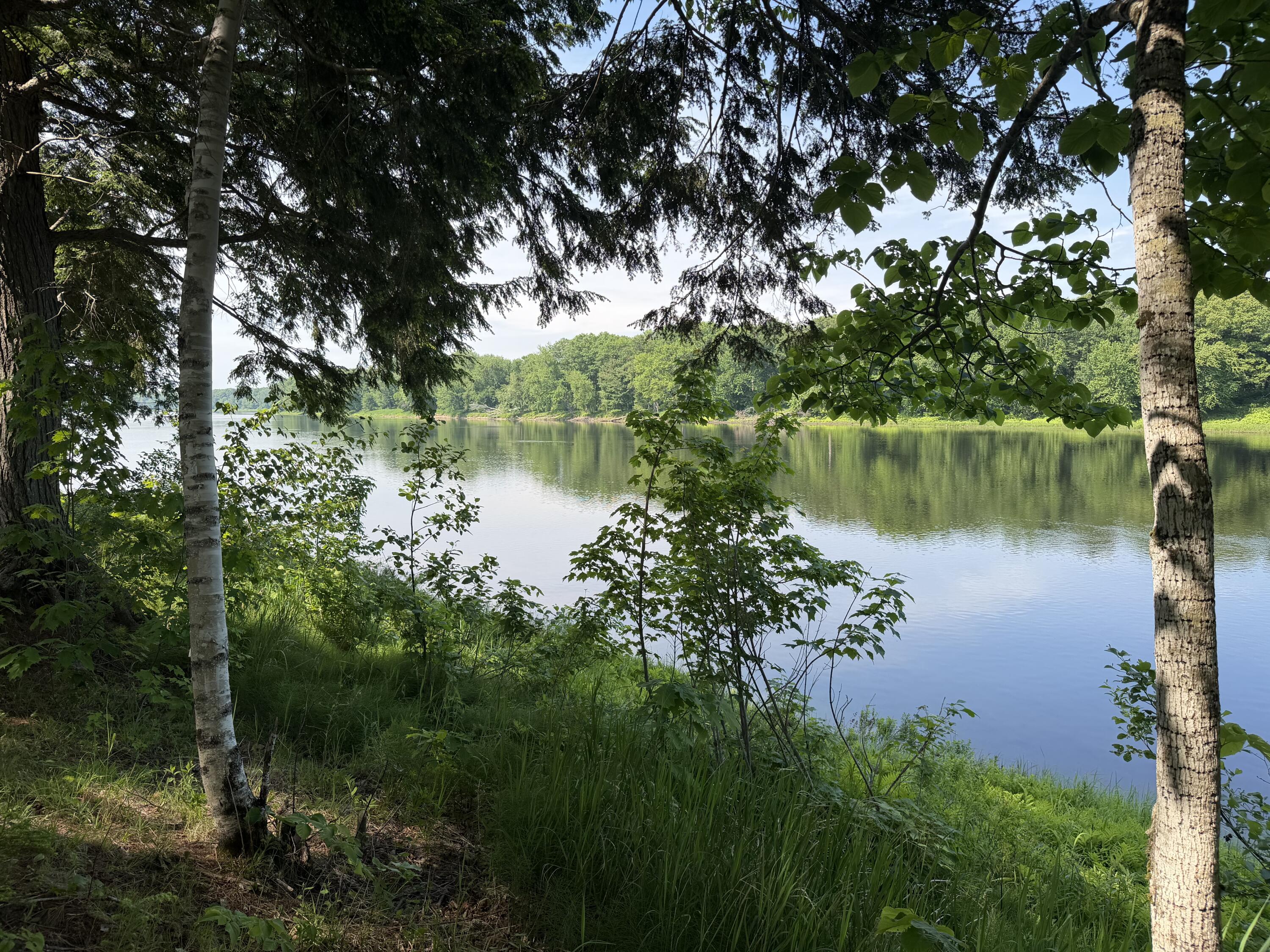 2a Main Road Greenbush, ME 04418 - Photo 4 of 12