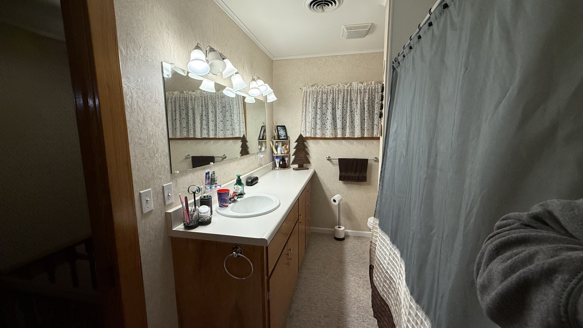 107 North Oneca Street Tonica, IL 61370 - Photo 21 of 24