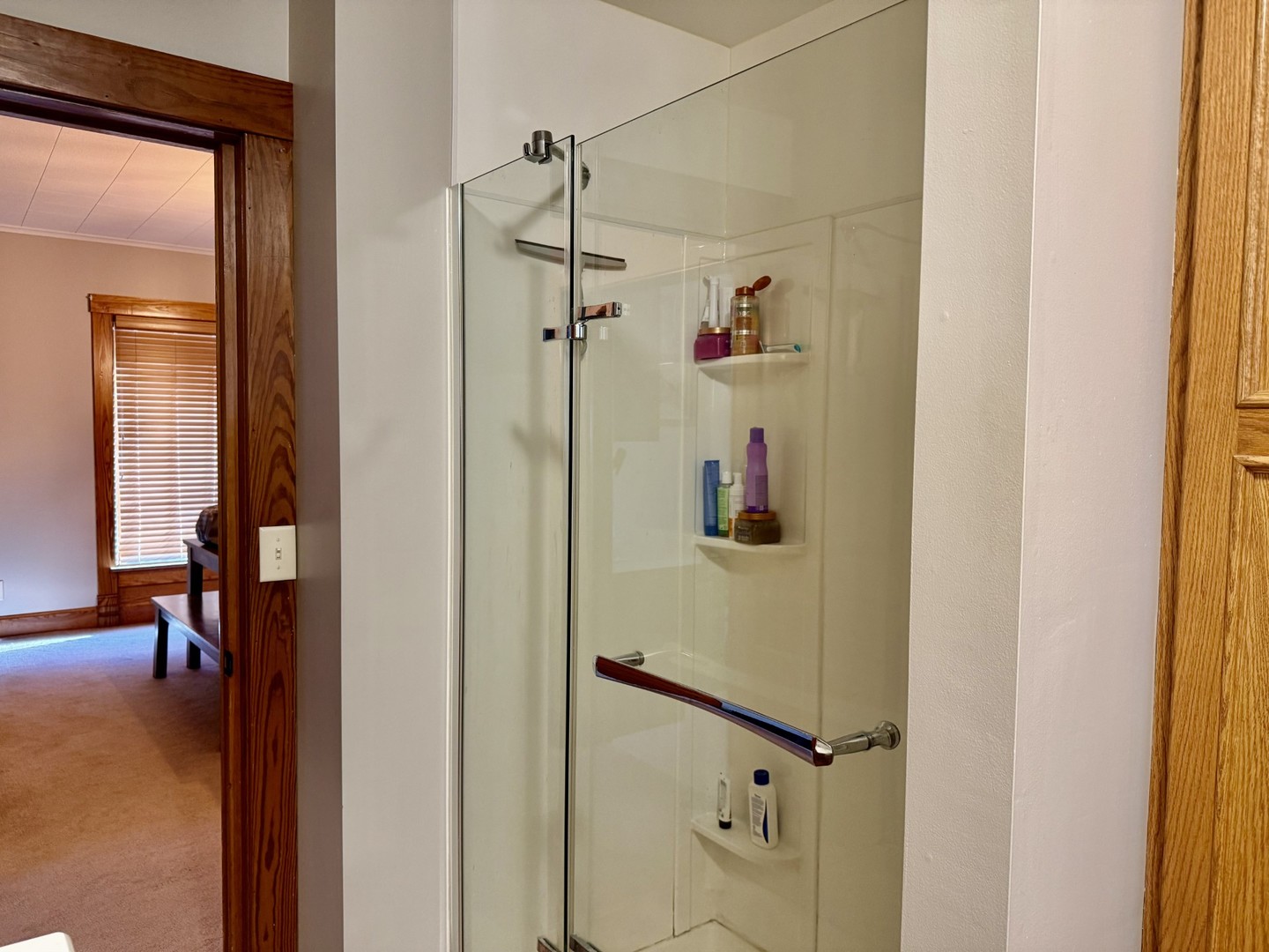 107 North Oneca Street Tonica, IL 61370 - Photo 24 of 24