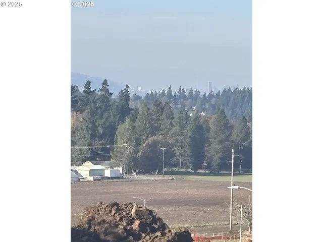 a view of a yard in front of a house
