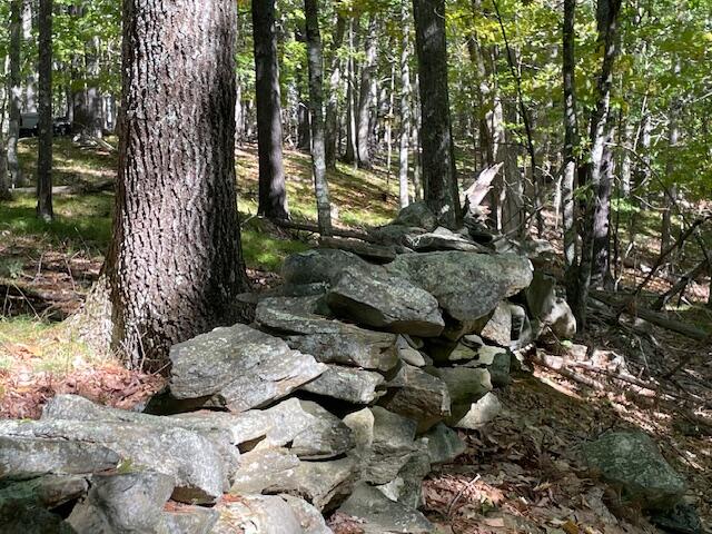 87 Pope Road Windham, ME 04062 - Photo 77 of 81 13