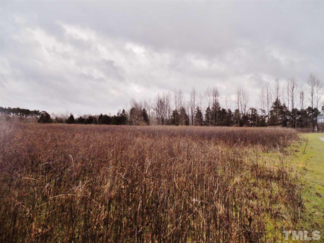 Lot 13 Carr Store Road Cedar Grove, NC 27231 - Photo 1 of 14 Gallery Image 1