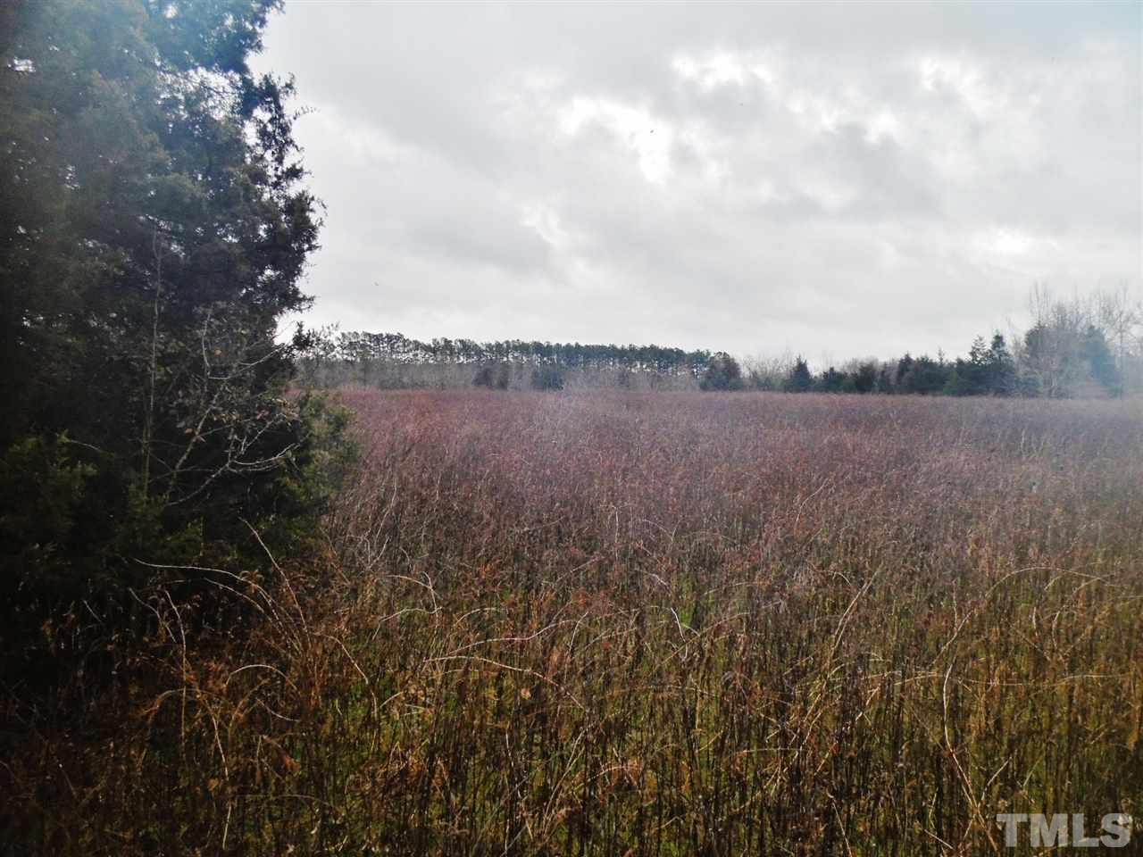 Lot 13 Carr Store Road Cedar Grove, NC 27231 - Photo 2 of 14 Gallery Image 2