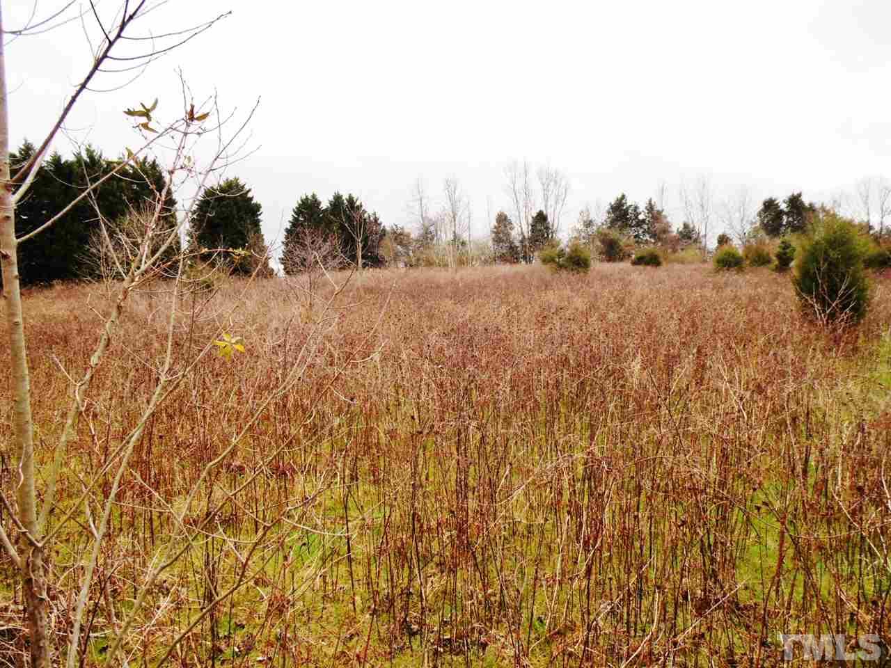 Lot 13 Carr Store Road Cedar Grove, NC 27231 - Photo 11 of 14 Gallery Image 11