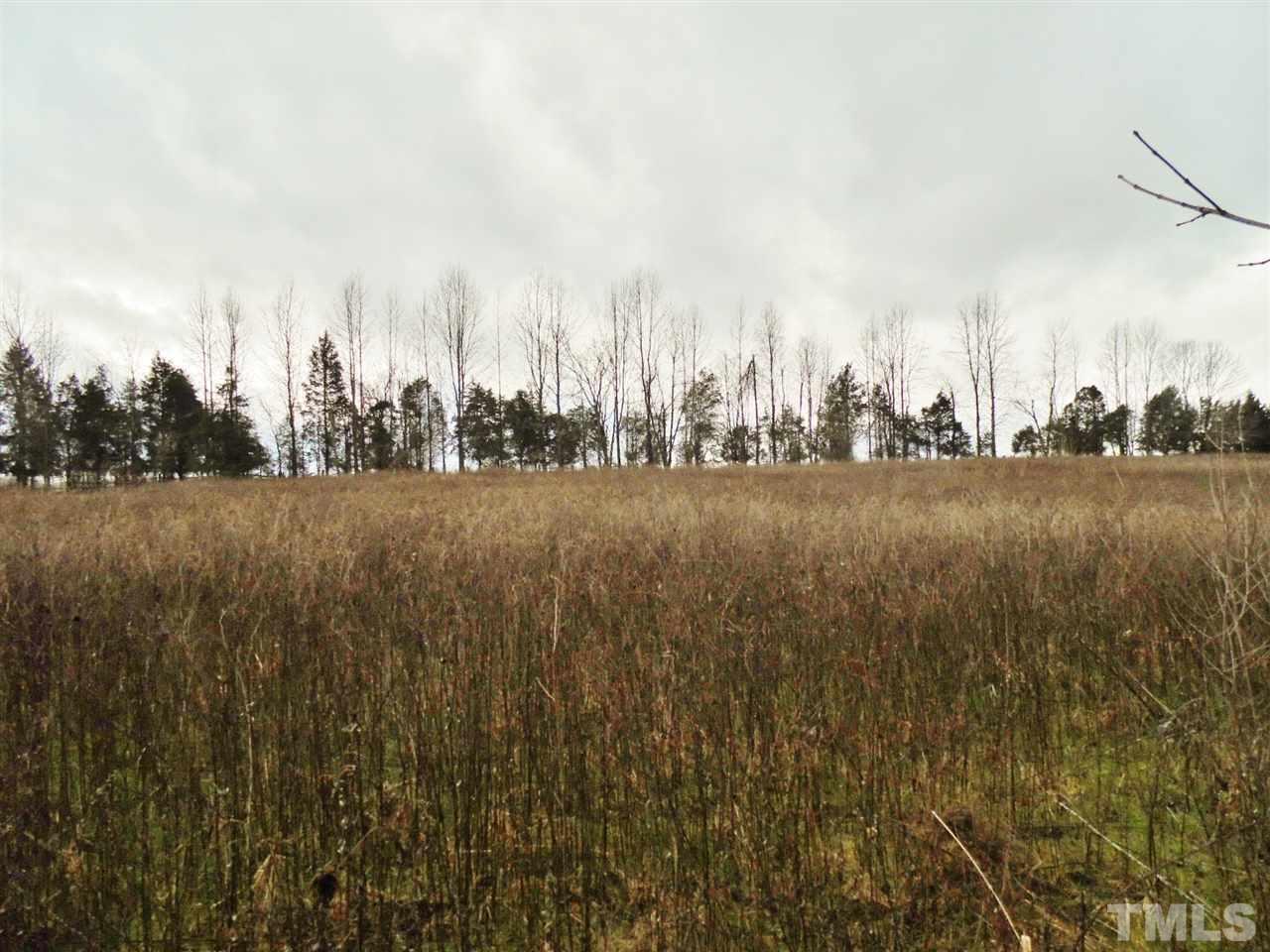 Lot 13 Carr Store Road Cedar Grove, NC 27231 - Photo 6 of 14 Gallery Image 6