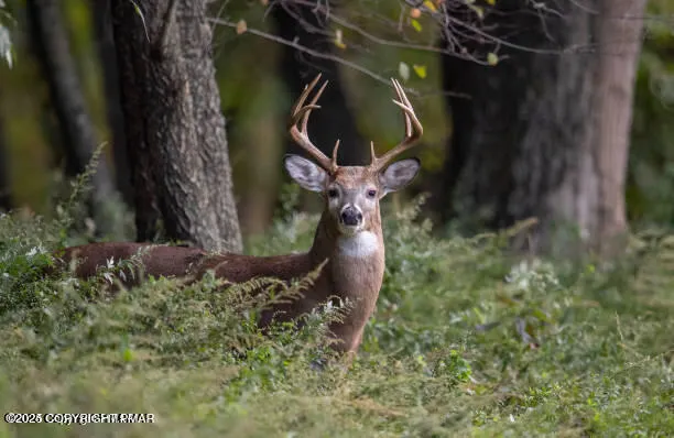 a bird view of water heater room