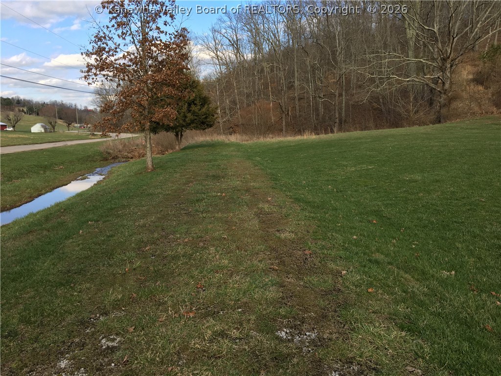 0 Pleasant Valley Road Given, WV 25245 - Photo 2 of 2 Gallery Image 2