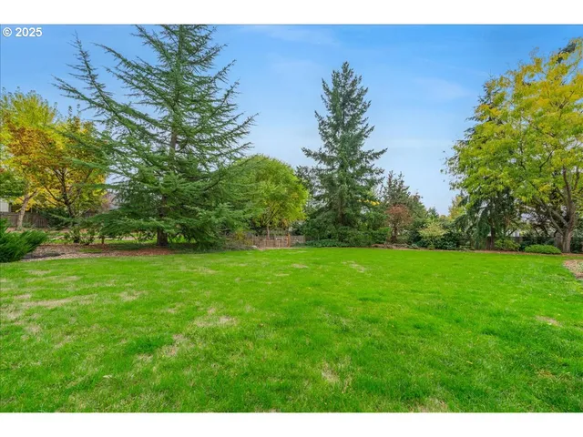 a backyard of a house with plants and outdoor seating
