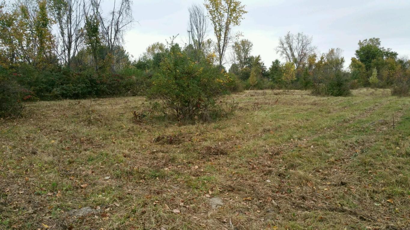 3340 Liberty Road Delaware, OH 43015 - Photo 29 of 29 Gallery Image 29