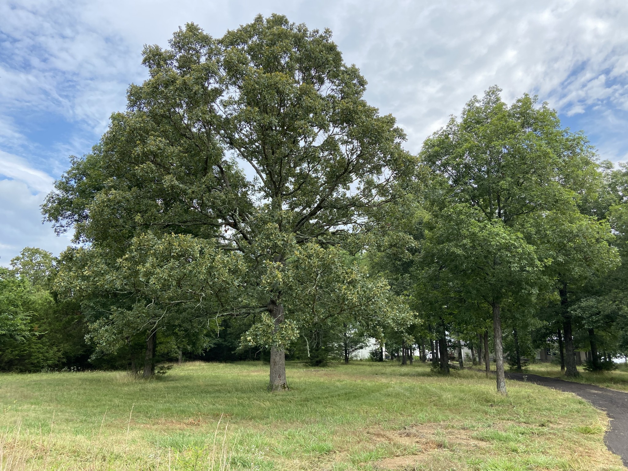 2264 Warner Bridge Road Shelbyville, TN 37160 - Photo 25 of 35 Gallery Image 25