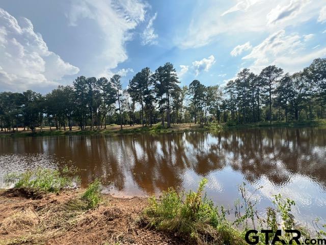 52-acres Off Watson Road Kilgore, TX 75662 - Photo 15 of 18 a view of a lake