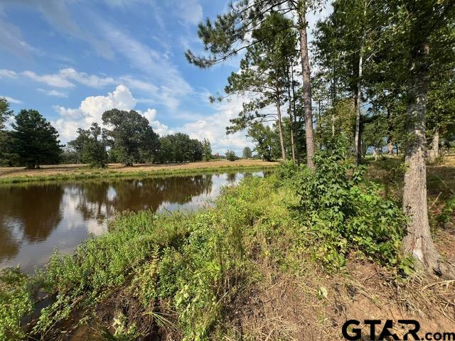 52-acres Off Watson Road Kilgore, TX 75662 - Photo 8 of 18 a view of a lake with houses in the back