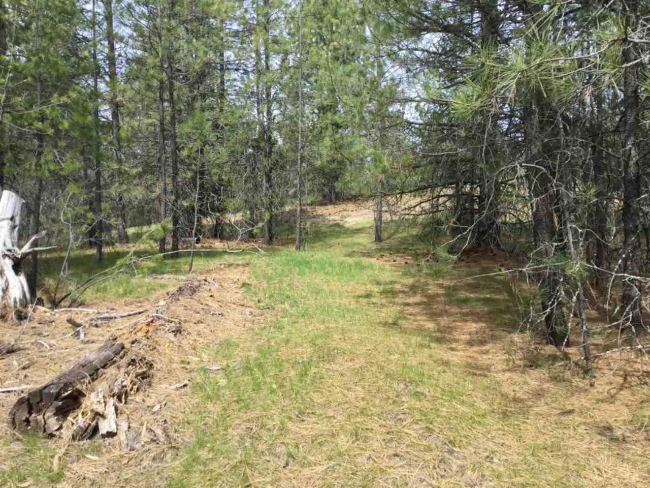0 Denison Chattaroy Road Deer Park, WA 99006 - Photo 5 of 8