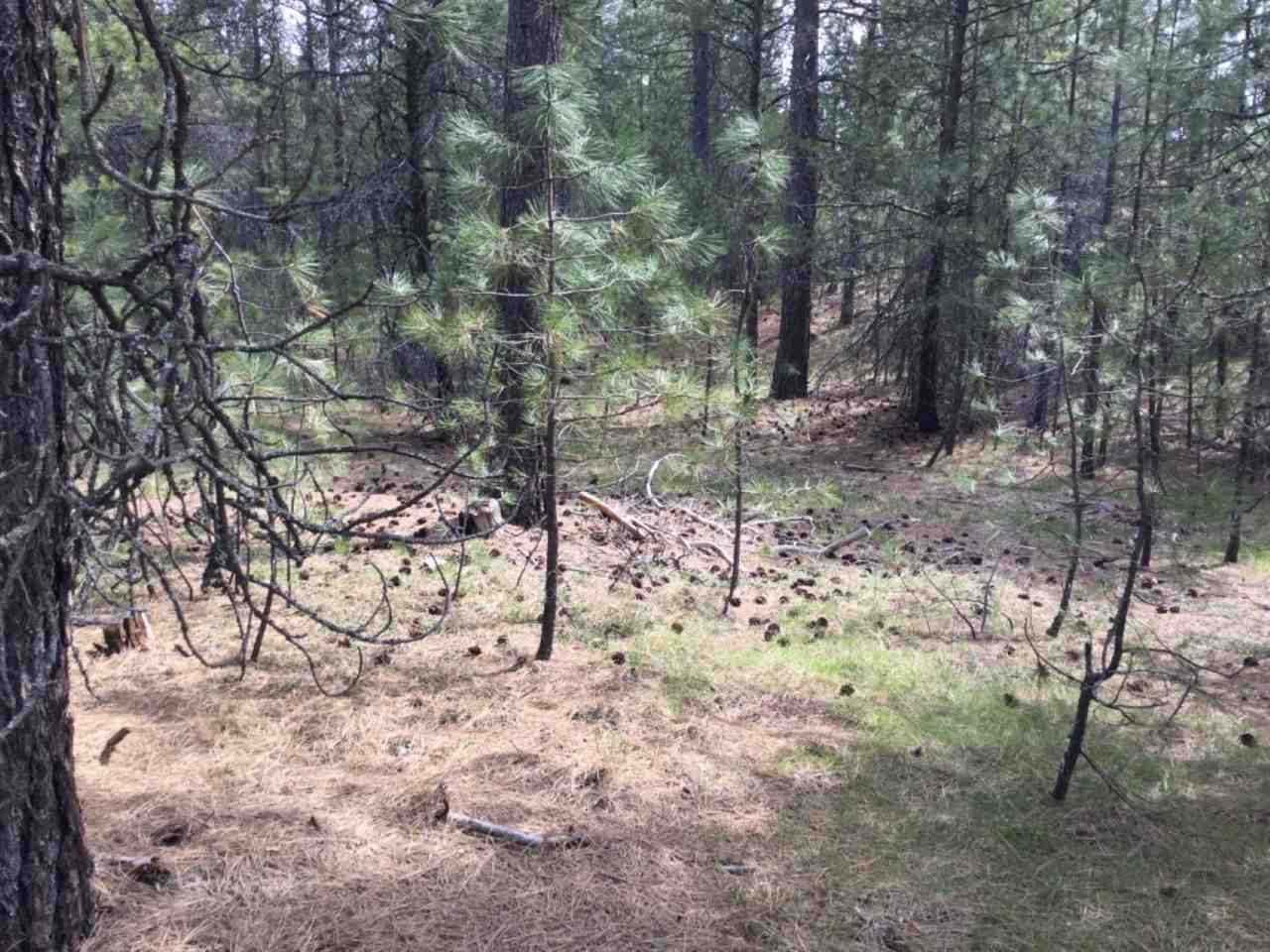 0 Denison Chattaroy Road Deer Park, WA 99006 - Photo 6 of 8