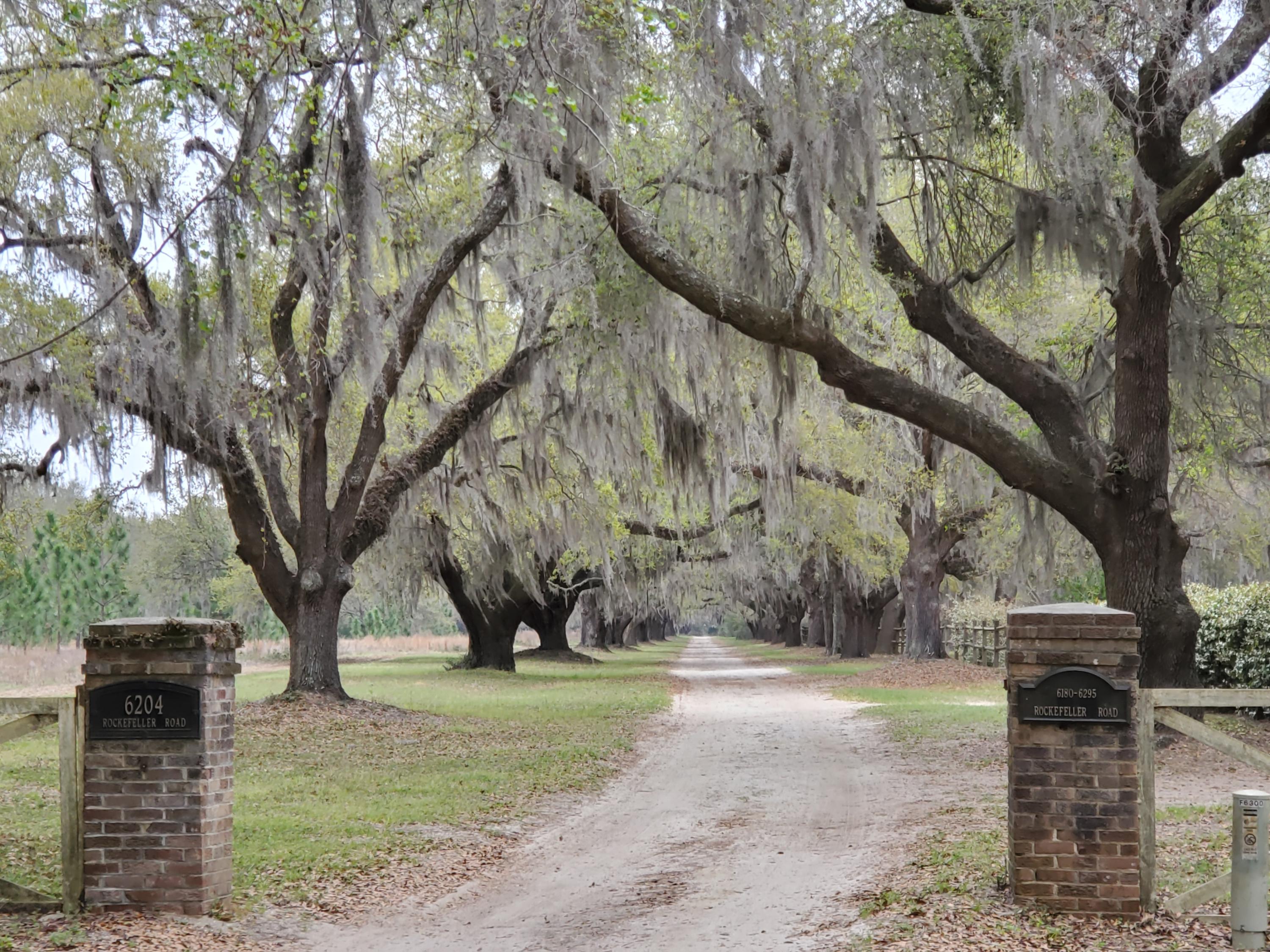 6295 Rockefeller Road Wadmalaw Island, SC 29487 - Photo 7 of 12 R.rd.gate&oaks