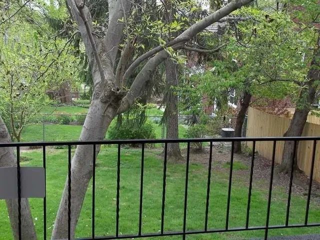 a view of house with a yard