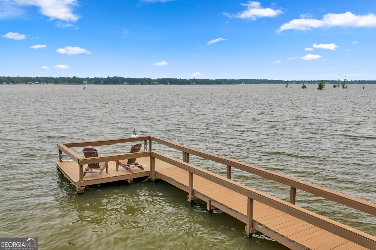 655 Flintside Drive Cobb, GA 31735 - Photo 73 of 94