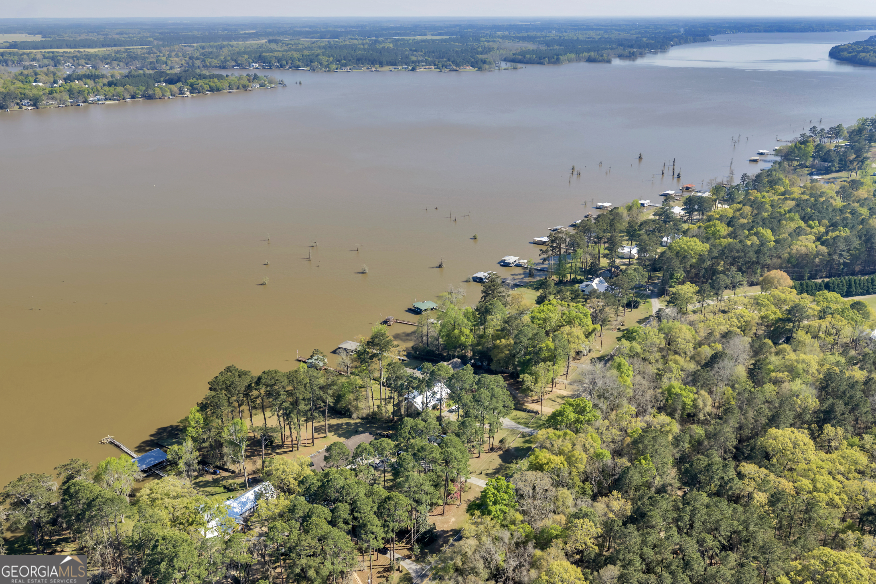 655 Flintside Drive Cobb, GA 31735 - Photo 91 of 94