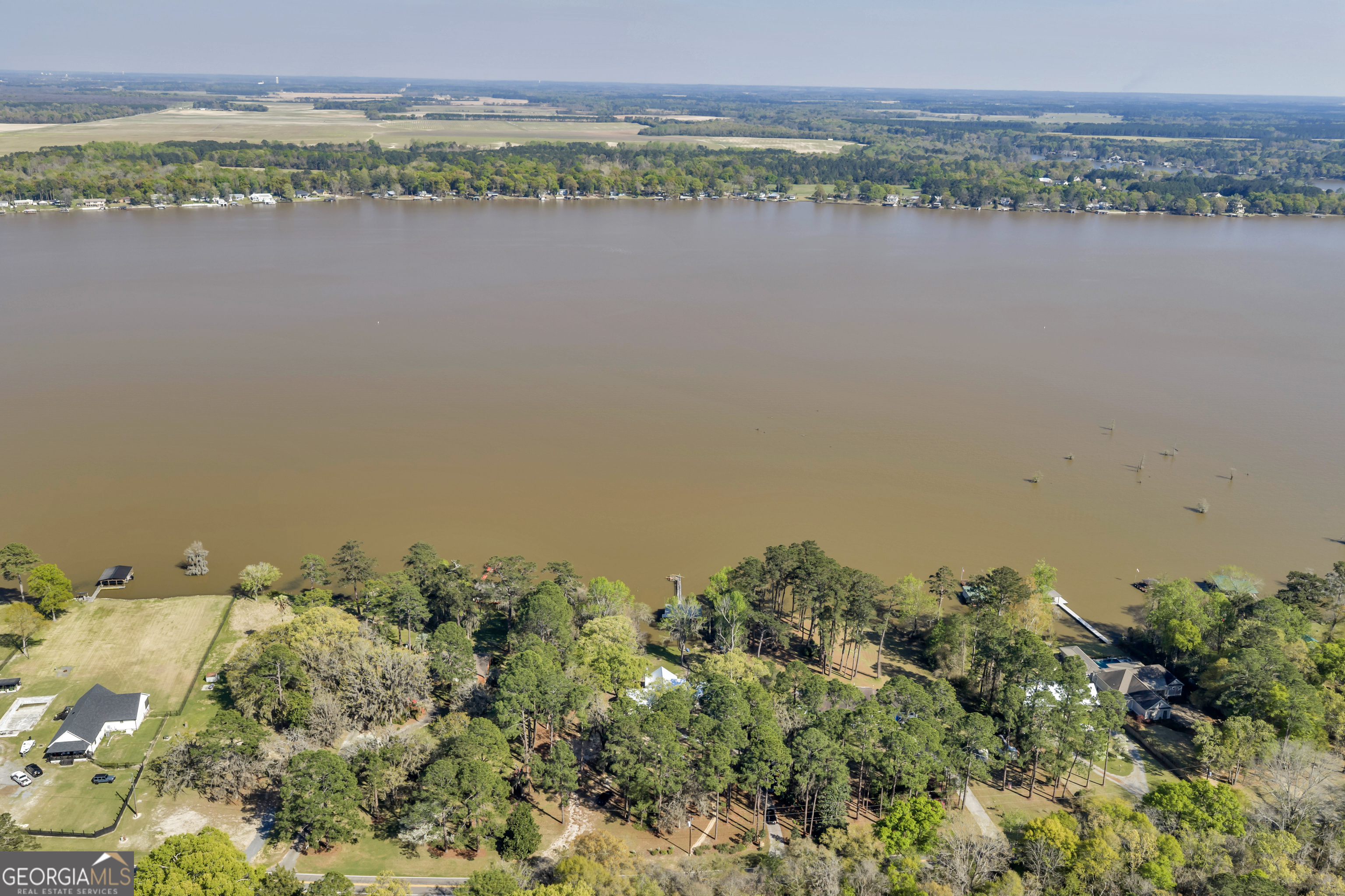 655 Flintside Drive Cobb, GA 31735 - Photo 93 of 94